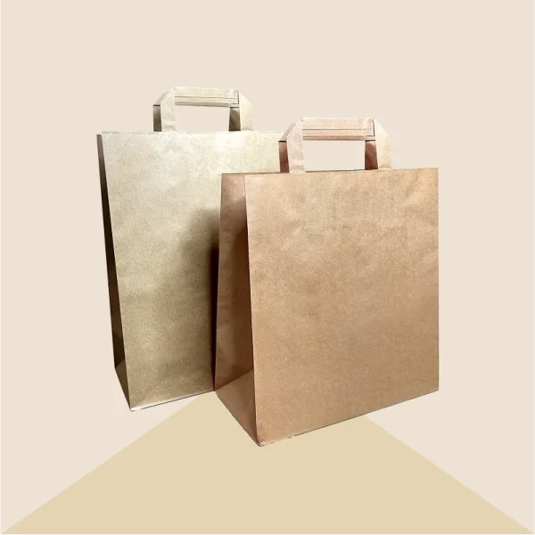 Custom-Flat-Handle-Paper-Bags-2