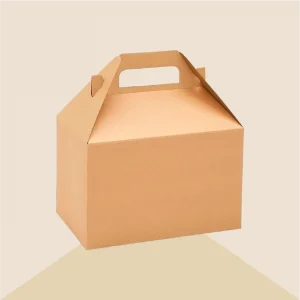 Kraft-Handle-Boxes-1